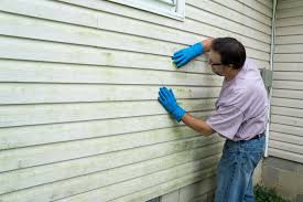 TrueLine Siding Services